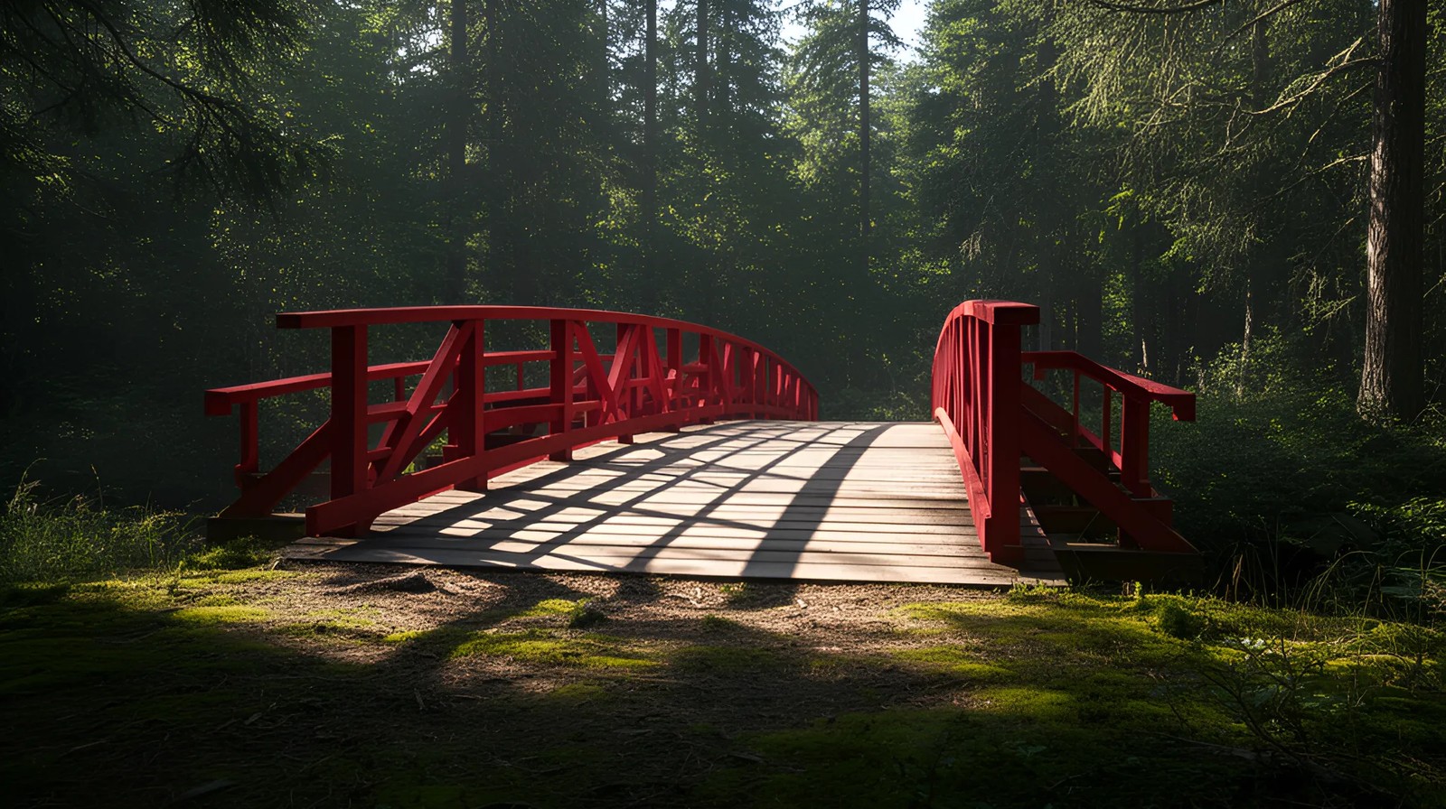 Ponte vermelha em floresta, sombras duras de meio-dia, luz entre as árvores